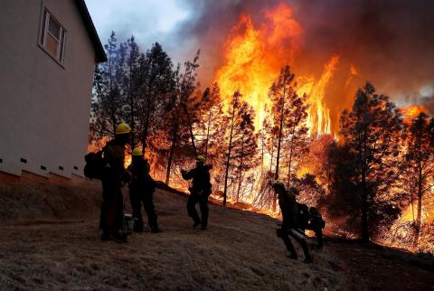 حريق في غابة على الحدود الألمانية-النمساوية والسبب قضاء الحاجة!
