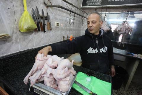 تراجع أسعار كيلو الدجاج في السوق الفلسطيني-تصوير وكالات الاقتصاد والزراعة: الاحتلال يتعمد إغراق السوق الفلسطيني بدواجن المستوطنات لضرب المزارع