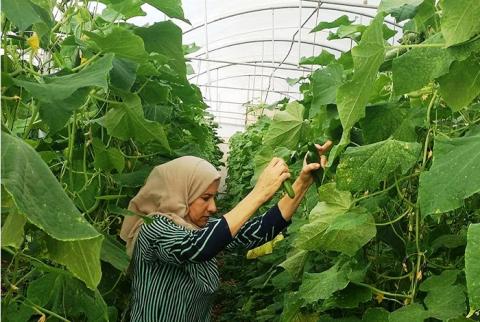 تمويل قطاع المشاريع الصغيرة والمتوسطة والمشاريع متناهية الصغر في فلسطين البنك الوطني وصندوق سند يوقعان اتفاقية شراكة بقيمة 5 مليون دولار