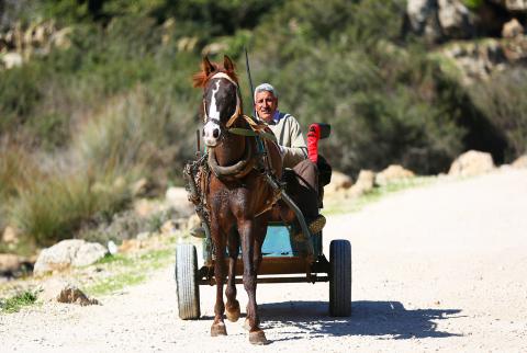 صورة توضيحية-مزارع في وادي قانا في سلفيت-أرشيف وفا إطلاق العناقيد الصناعية الزراعية العمرانية في سلفيت