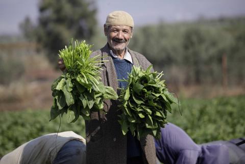 وقف التبادل التجاري للمنتجات الزراعية بين إسرائيل وفلسطين