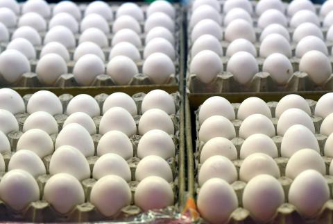 رفع الأسعار يصل إلى البيض ووزارة الاقتصاد تلاحق المخالفين