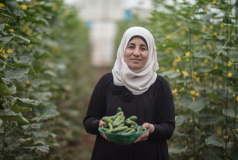 صورة توضيحية-سيدة فلسطينية تعمل في مجال الزراعة-تصوير فادي العاروري لصالح مؤسسة كير الدولية وزارة الاقتصاد تعلن تقديم منح لدعم النساء في القطاع الزراعي