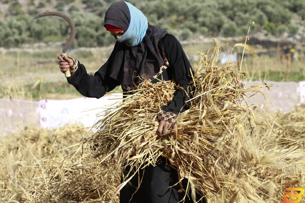 في يوم المرأة-الأسر التي ترأسها نساء في فلسطين أكثر فقراً