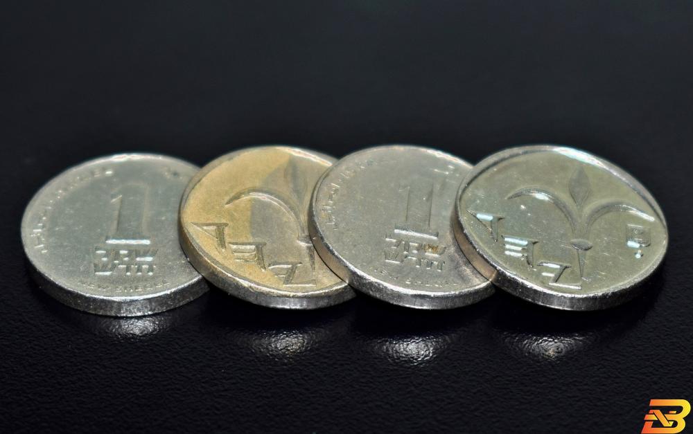 صورة توضيحية-شواكل إسرائيلية-أرشيف وكالات اليوم-الحكومة الفلسطينية تصرف رواتب موظفيها بنسبة 60%