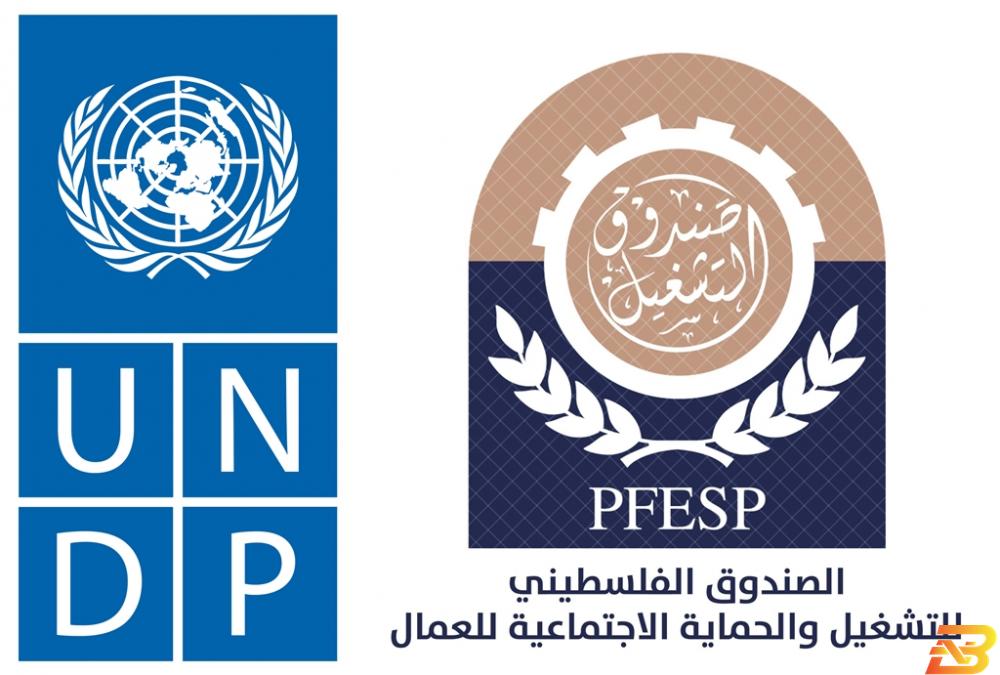 UNDP تمنح صندوق التشغيل الأولوية في تنفيذ المشاريع التشغيلية