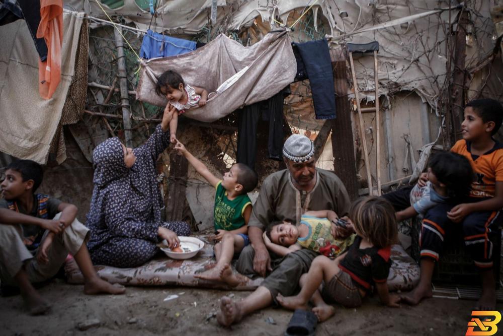 التنمية الاجتماعية: 385 مليون شيقل مساعدات نقدية للأسر الفقيرة في غزة