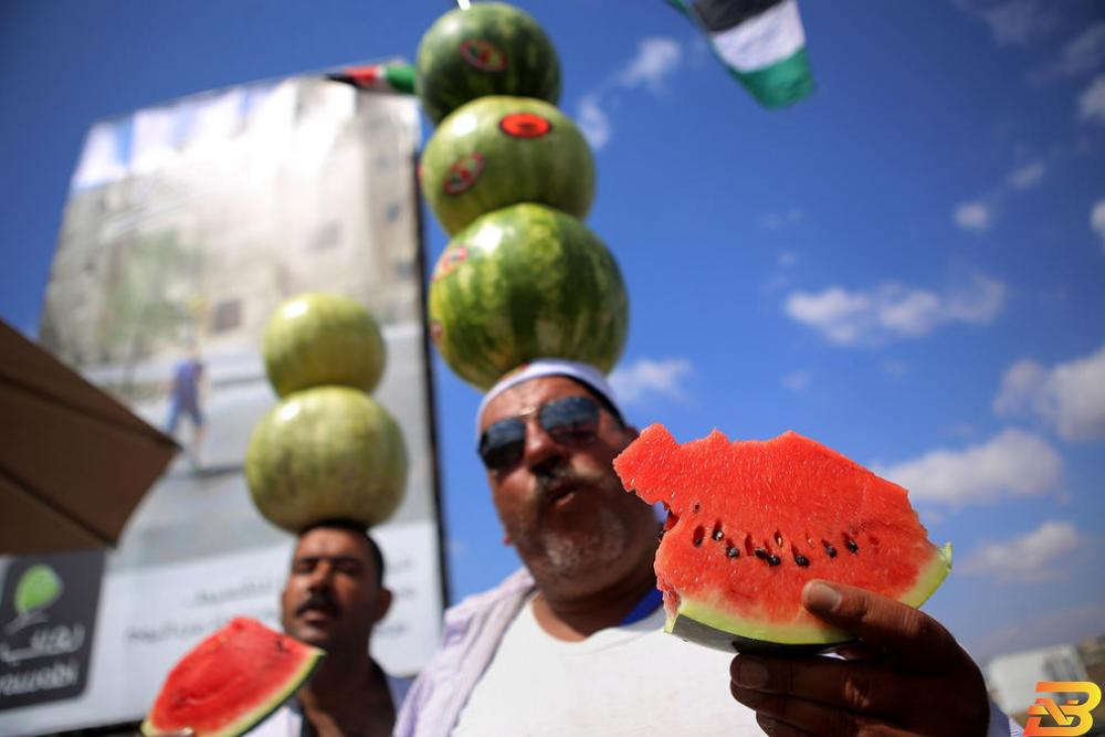 بطيخ الأغوار.. تسويق على وقع الغناء