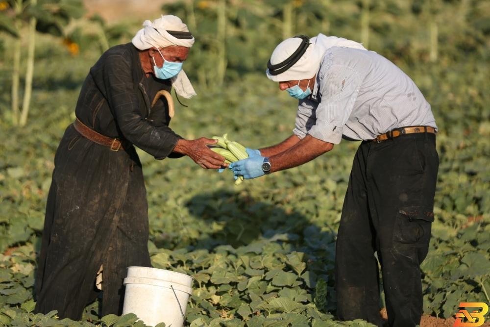  30 مليون دولار مساعدات من البنك الدولي لمتضرري الجائحة في فلسطين