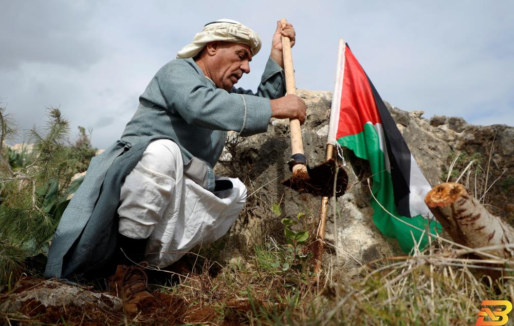 الإحصاء: حوالي 13.7 مليون عدد الفلسطينيين نهاية عام 2020
